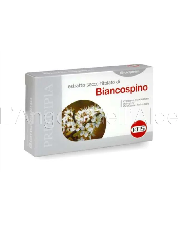 aloestore20260707150838122859