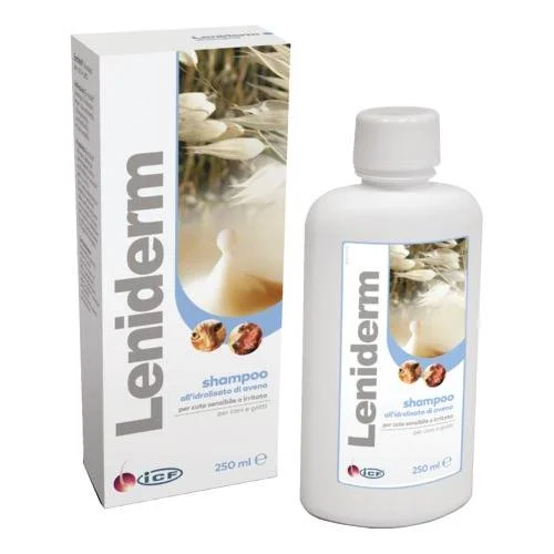 bigfarmacia202607021056411178833