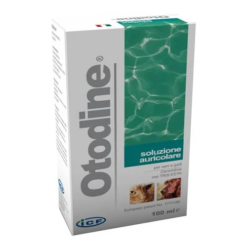 bigfarmacia202607021100151180989