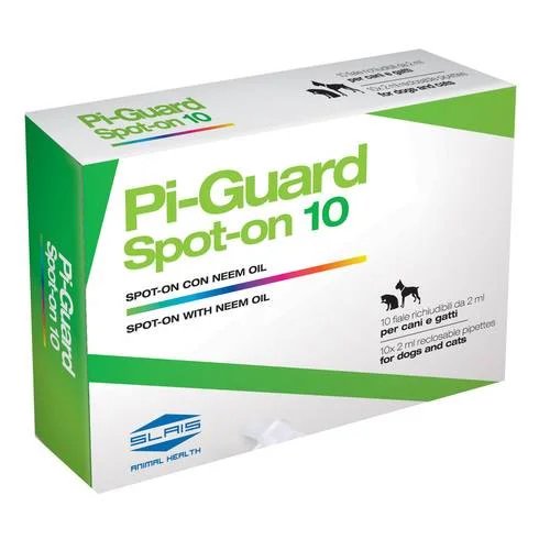 bigfarmacia202607021100361181201