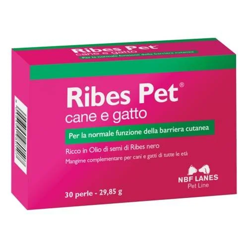 bigfarmacia202607021101471181923