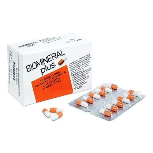 bigfarmacia202607021111081187397