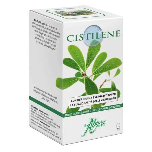bigfarmacia202607021112351188294