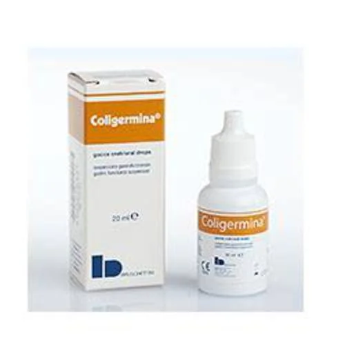 bigfarmacia202607021112591188535