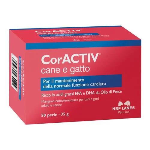 bigfarmacia202607021113191188723