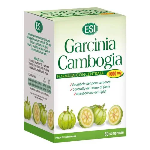 bigfarmacia202607021119201192232