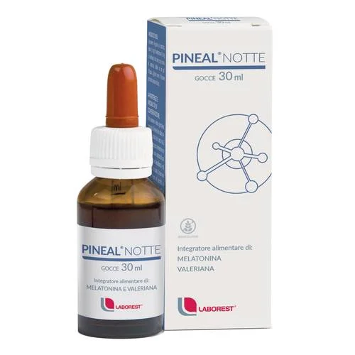 bigfarmacia202607021121491193989