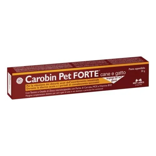 bigfarmacia202607021131041201263