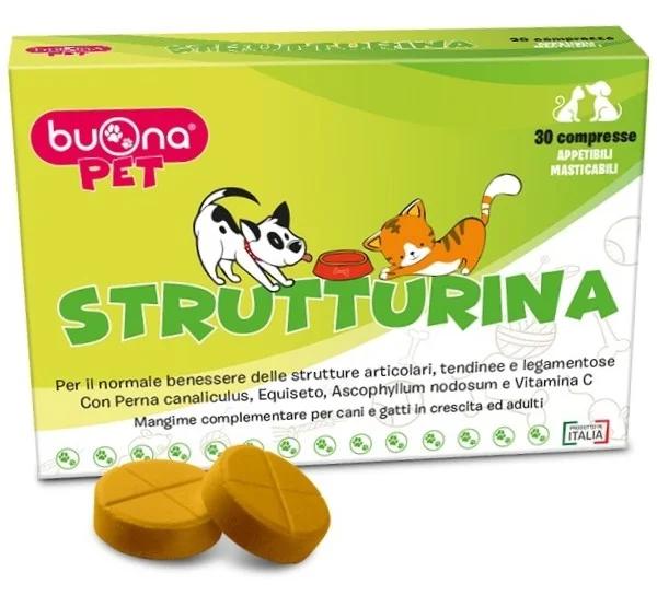 dottorbianchi-220260707155116131669