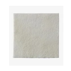 dottorbianchi-220260707164244143520