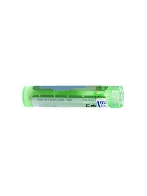 farmaciabozzi202607021059221180461