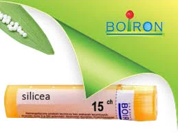 farmaciabozzi202607021059311180540