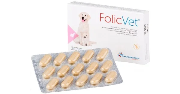 pharmasantelena202607021746341338851