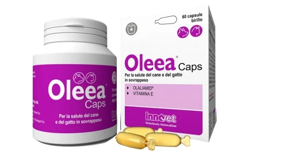 pharmasantelena202607022308541393215