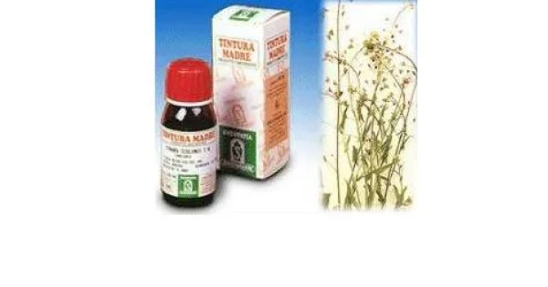 pharmasantelena202607030319521430192