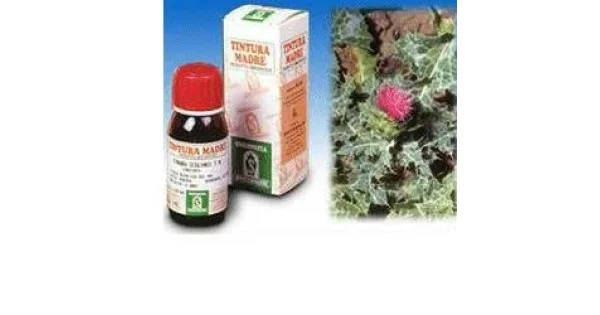 pharmasantelena202607030319541430199