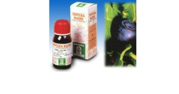 pharmasantelena202607030320191430260