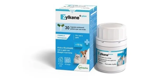 pharmasantelena202607030521321449919